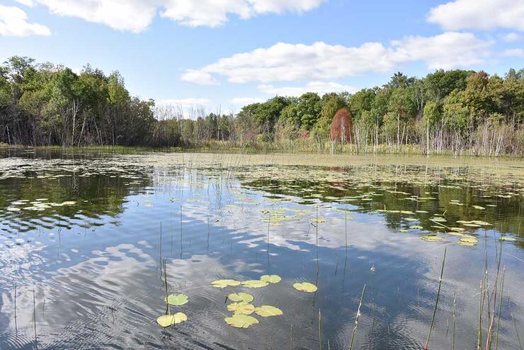 ontario lake