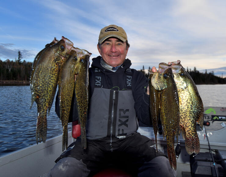 When Bright Bellied Lures Excels…(It's Not When You Think) 