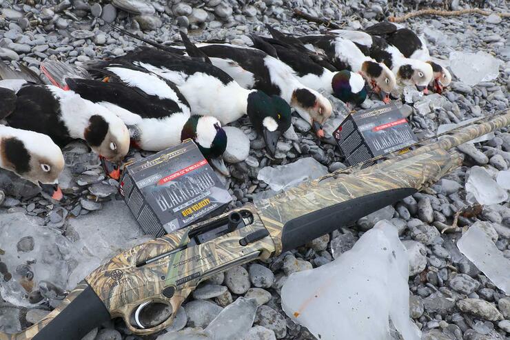 duck hunting