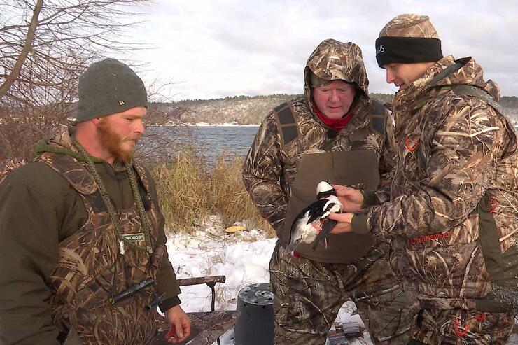 duck hunting ontario