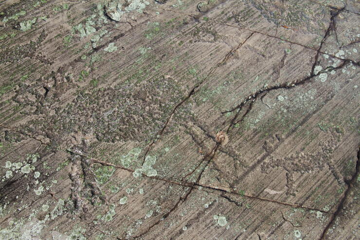 Petroglyphs – Temagami's Rare Works of Art | Northern Ontario Travel