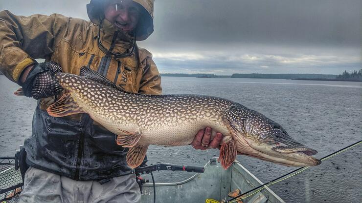 Fishing Northern Pike, The Fishing Magazine, by Danny P