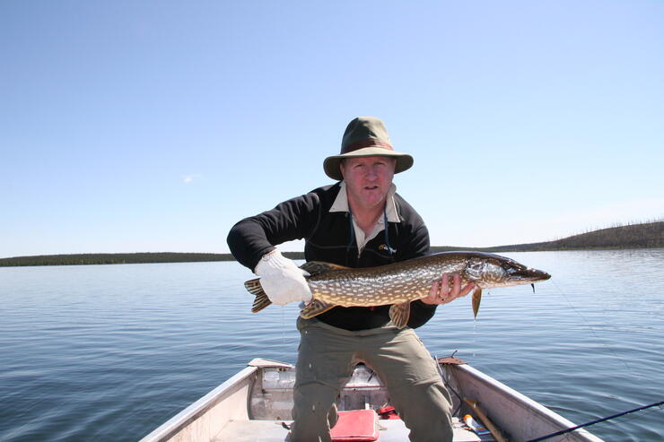 Lifelong Love of Northern Pike