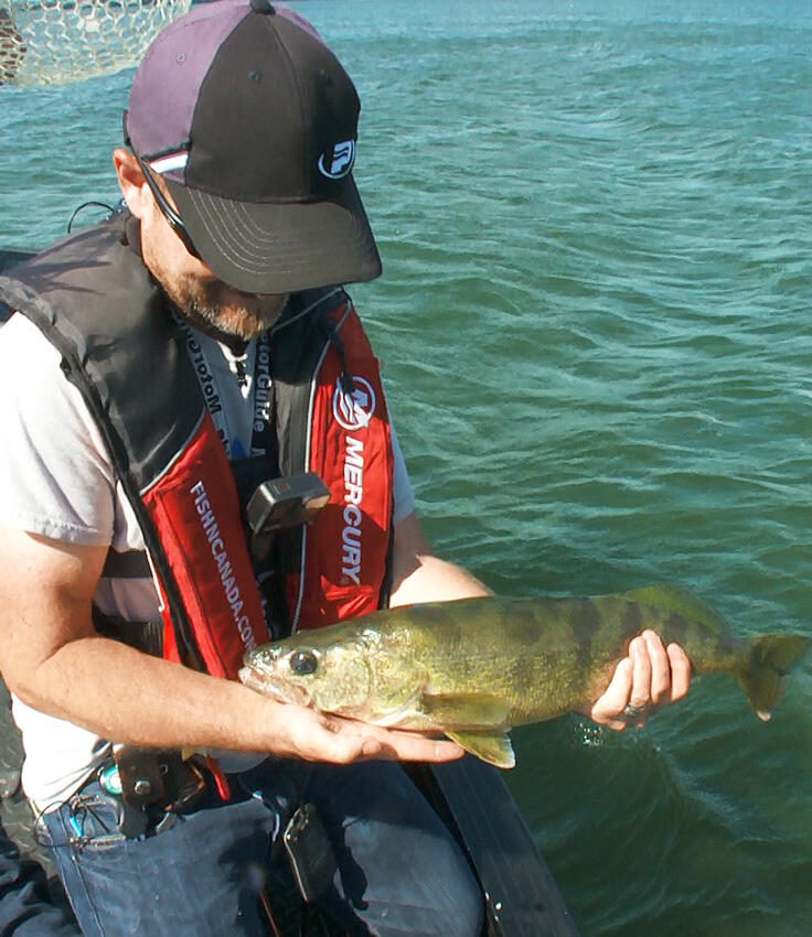 World Class Walleye Fishing: Bay of Quinte