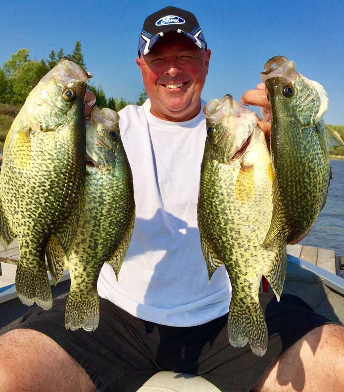 crappie