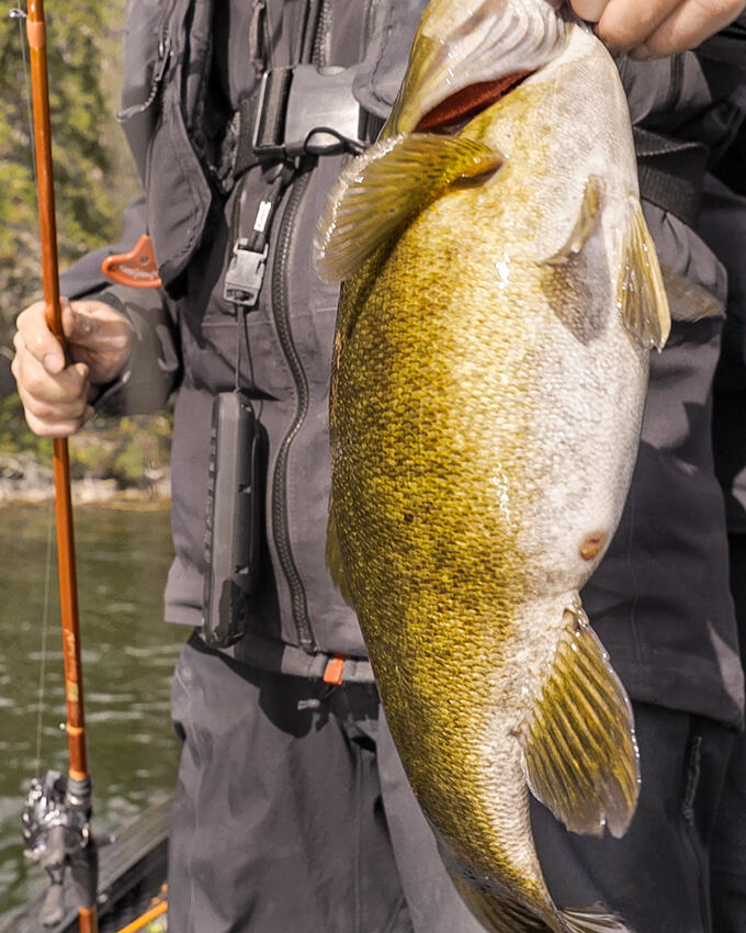 hawk-lake-bass-6