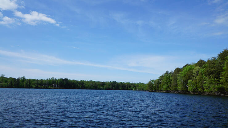 birch-lake