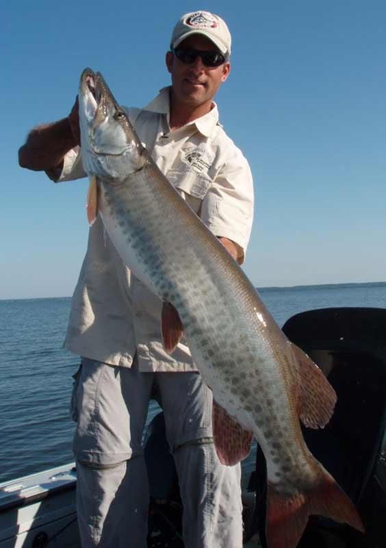 AbrazX 25 Muskie/Pike Leader Line 