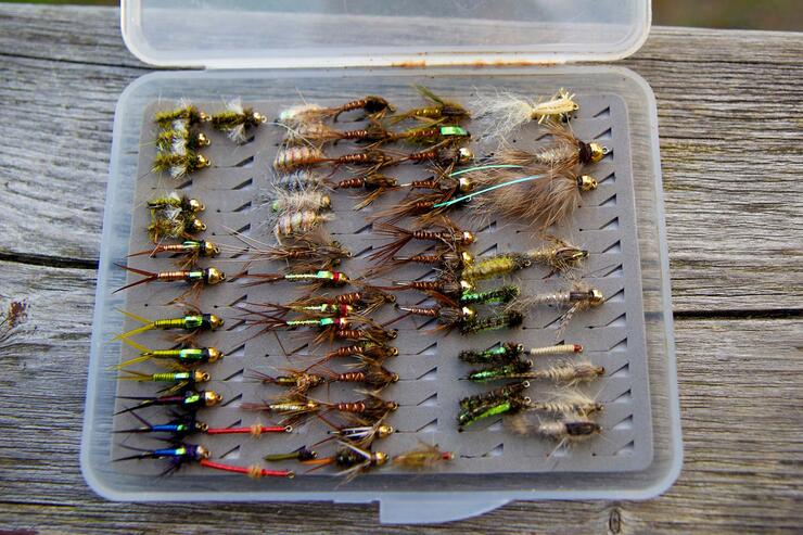 Brook Trout on the Fly: Carolyn Beach Inn Algoma Country