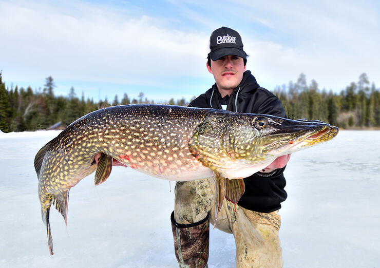 Tips for Ice Fishing Yellow Perch From Gord Pyzer