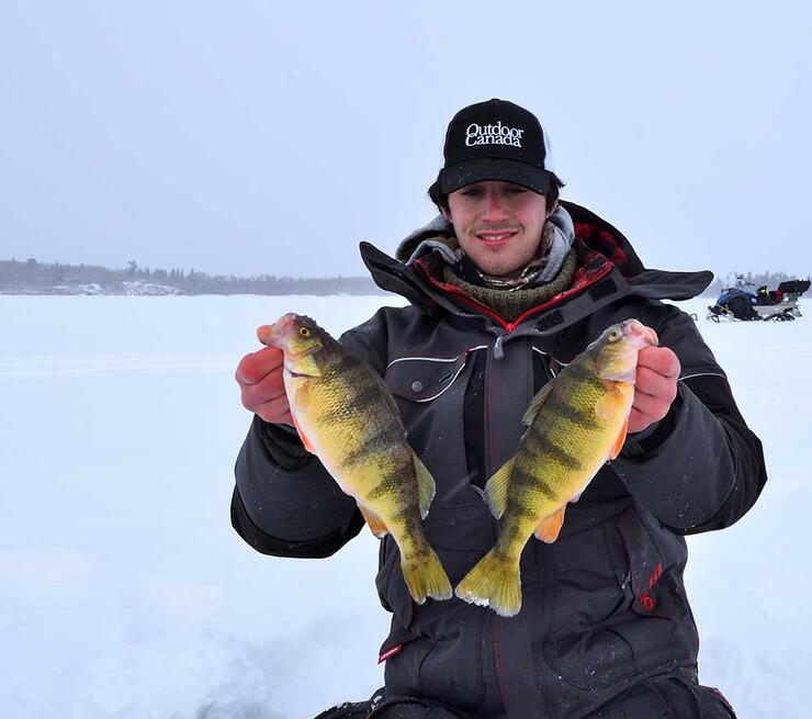 ice angler holding yellow perch