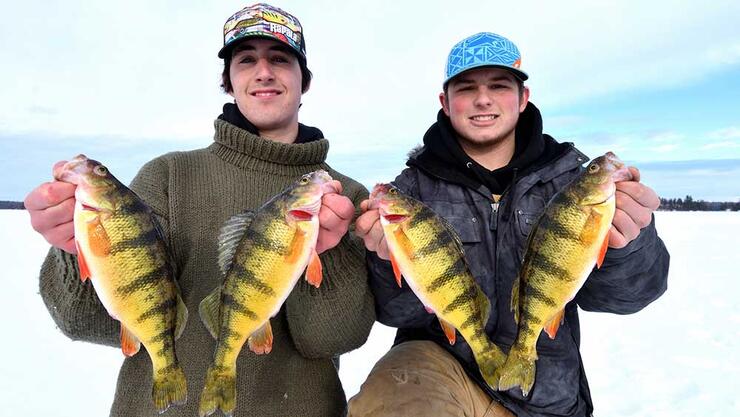 young anglers ice fishing perch