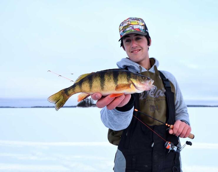 young angler ice fishing perch