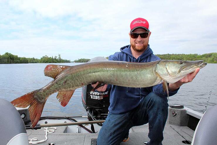 angler holding muskie fish