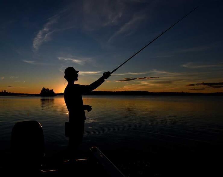 Judas Bait Muskies  Northern Ontario Travel