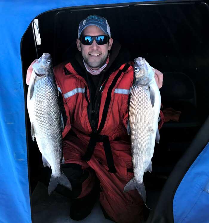 ice angler holding 2 ontario whitefish