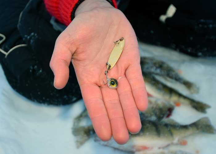 eye and lure perch presentation