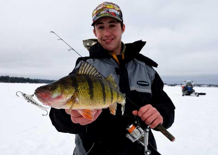 Ice Fishing For Prime Time Perch 
