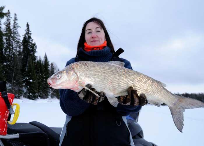 woman ice angler with whitefish