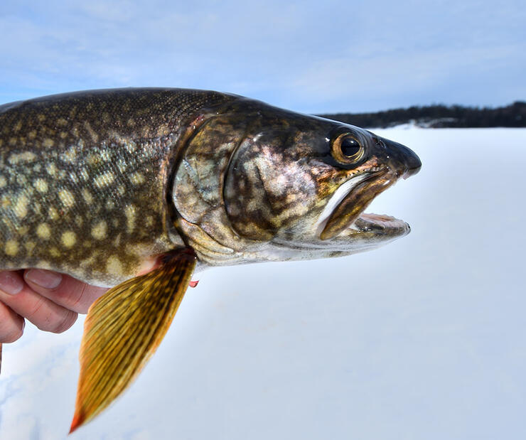 ice-fishing-10