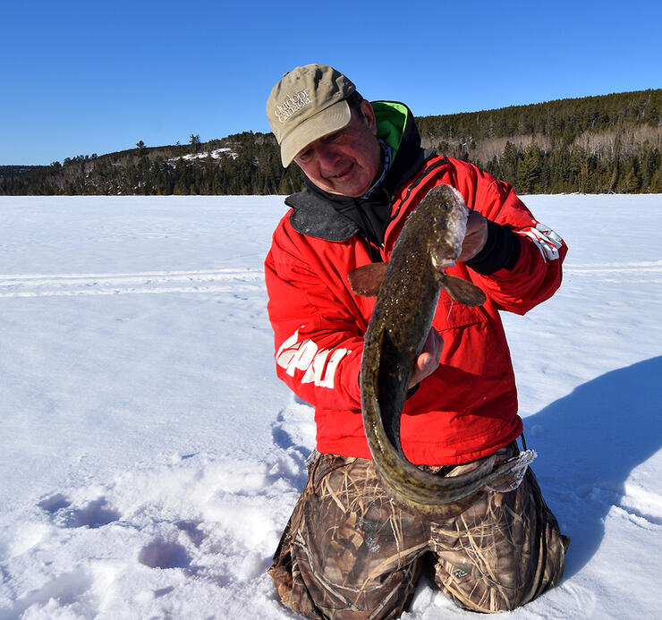 Northern Ontario Burbot Providing Action Through the Ice - Pautzke Bait Co