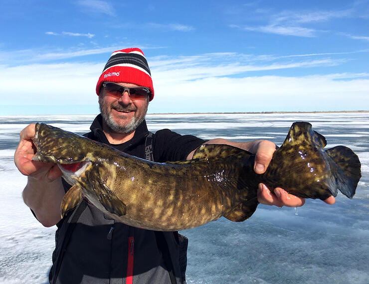 Northern Ontario Burbot Providing Action Through the Ice - Pautzke Bait Co