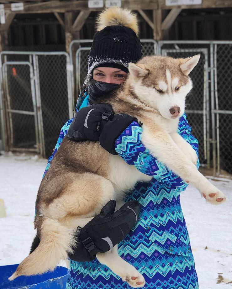 dog sled tours haliburton