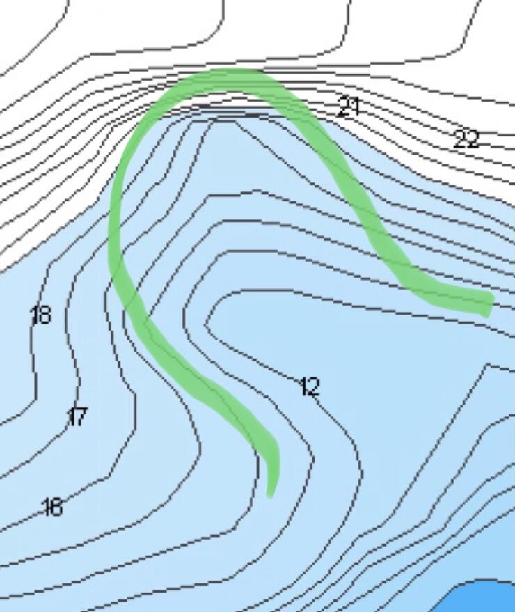 figure 1 forecast