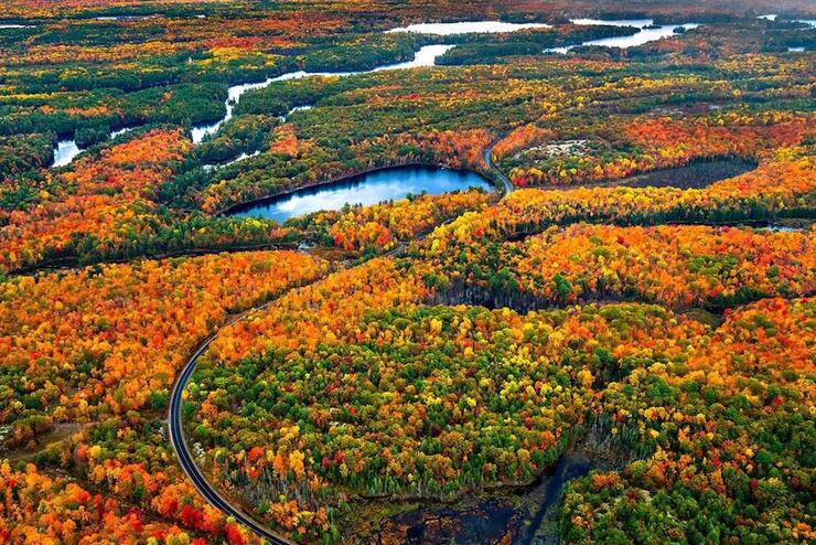 Overhead view of fall colours and lakes
