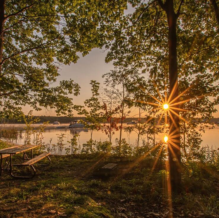 Beautiful sunrise shining through trees over a lake.