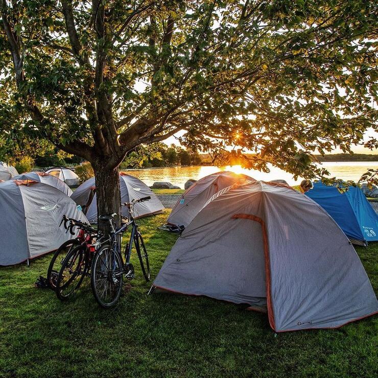 Bikes leaning up against tree surrounded by pitched tents