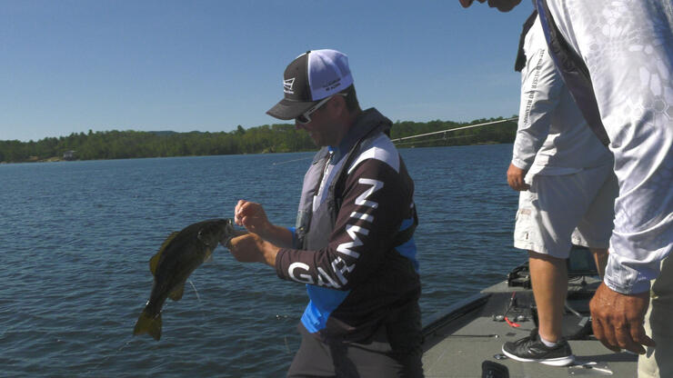 smallmouth-bass