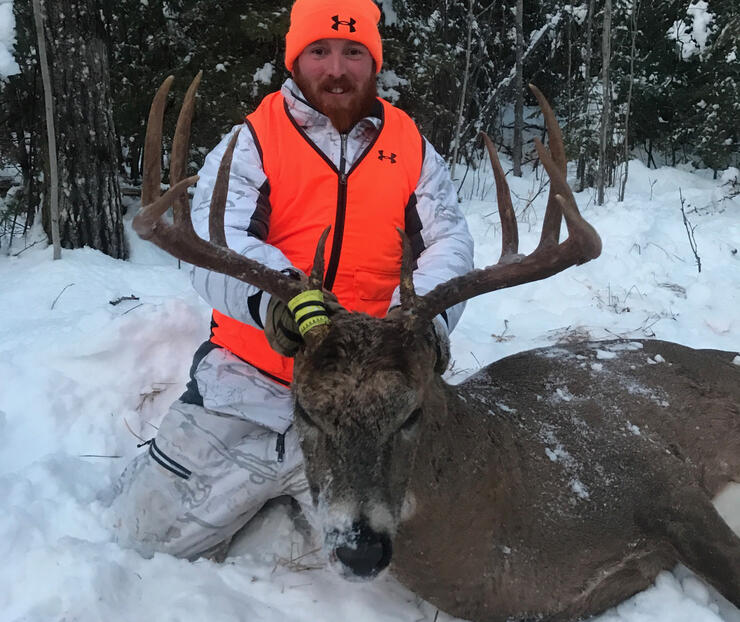 Northwestern Ontario Whitetail Deer Report | Northern Ontario Travel