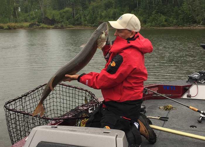 angler holding a musky