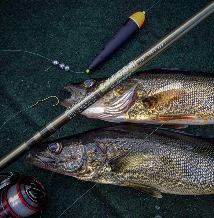 Wilderness Walleye on the Chapleau River