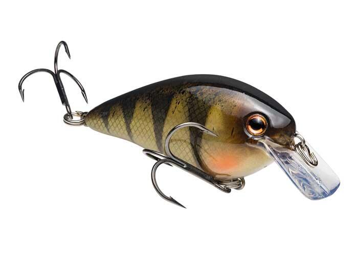 crankbait yellow perch