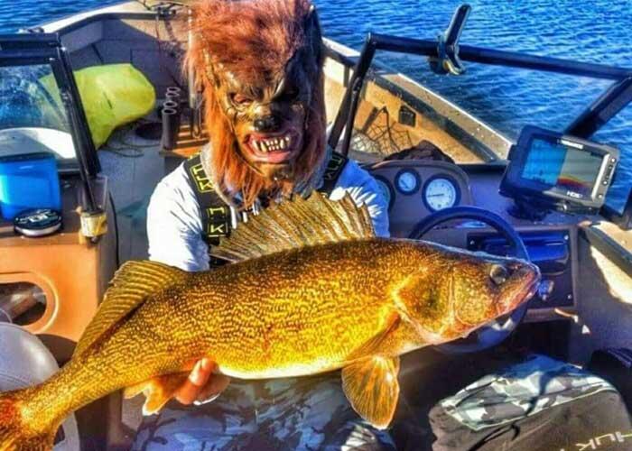 andy lesyshen walleye