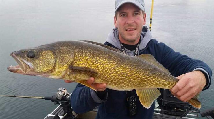 andy lesyshen walleye