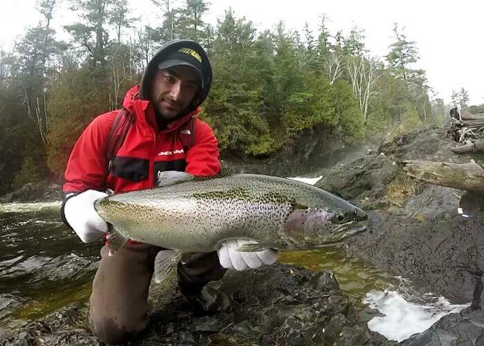 kevin king steelhead fishing algoma stream