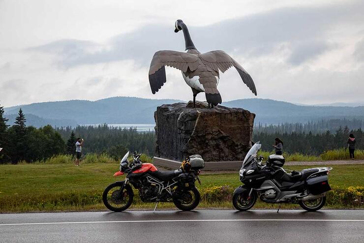 wawa goose monument