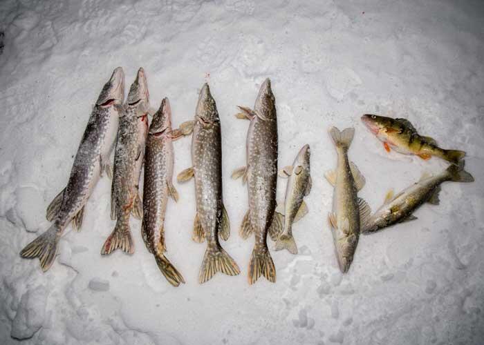 Five Days of Winter in Algoma: Day Four Ice Fishing