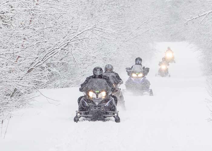 snowmobiles on snowy trail