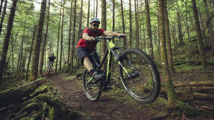 Bike store rides northwest