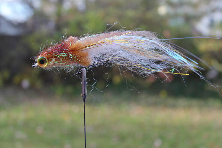 Get 2 boxes and get 10 of our most popular flies FREE