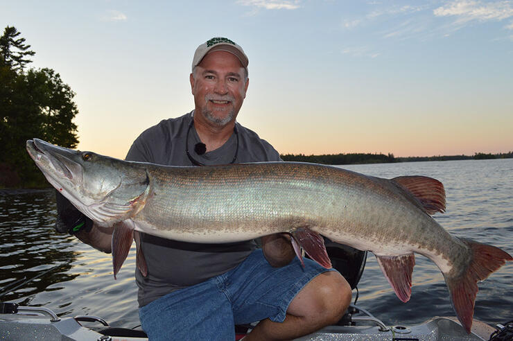 angler fishing musky