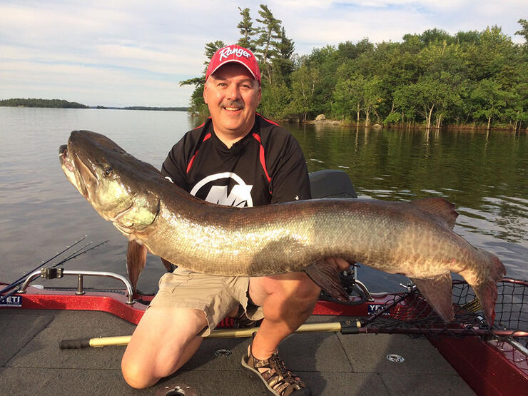 angler fishing musky lake of the woods