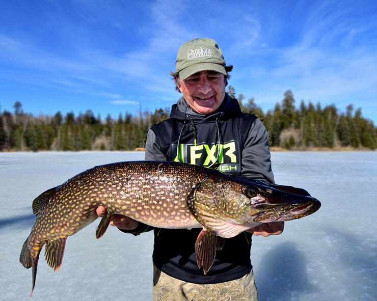 Circle Hook Rig for Pike 