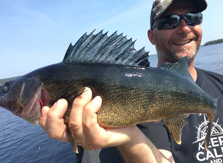 blue walleye