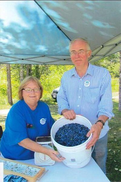 Blueberry Blast In Nipigon Northern Ontario Travel