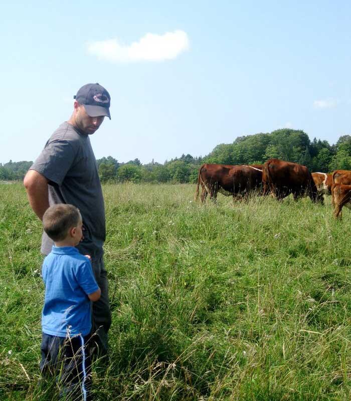 man and child looking at beef cattle